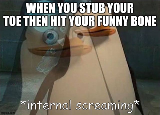 Private Internal Screaming | WHEN YOU STUB YOUR TOE THEN HIT YOUR FUNNY BONE | image tagged in private internal screaming | made w/ Imgflip meme maker