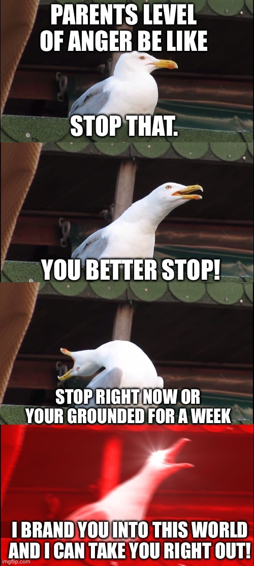 Parents anger | PARENTS LEVEL OF ANGER BE LIKE; STOP THAT. YOU BETTER STOP! STOP RIGHT NOW OR YOUR GROUNDED FOR A WEEK; I BRAND YOU INTO THIS WORLD AND I CAN TAKE YOU RIGHT OUT! | image tagged in memes,inhaling seagull | made w/ Imgflip meme maker