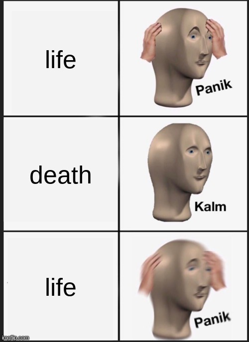 Panik Kalm Panik Meme | life; death; life | image tagged in memes,panik kalm panik | made w/ Imgflip meme maker