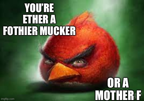 Realistic Red Angry Birds | YOU’RE ETHER A FOTHIER MUCKER; OR A MOTHER F | image tagged in realistic red angry birds | made w/ Imgflip meme maker