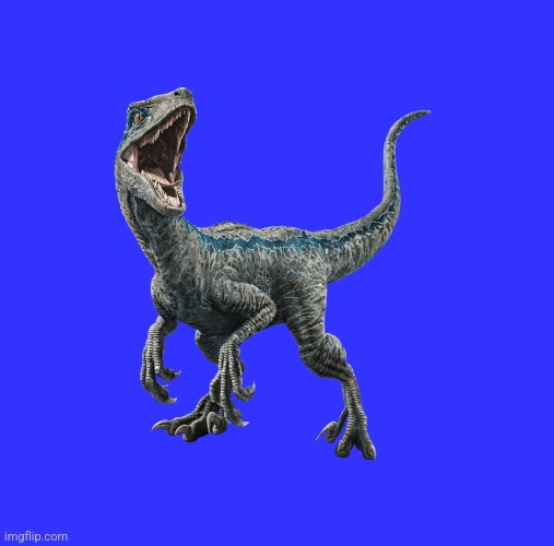 Blue for no reason | image tagged in memes,blank transparent square,blue,jurassic world,velociraptor | made w/ Imgflip meme maker
