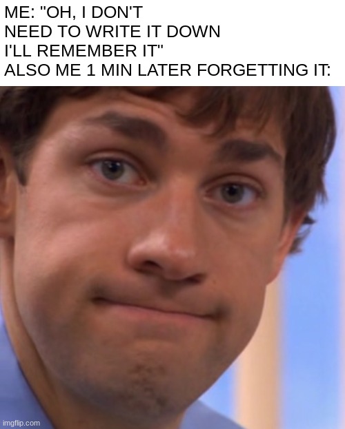 welp :/ | ME: "OH, I DON'T NEED TO WRITE IT DOWN I'LL REMEMBER IT"
ALSO ME 1 MIN LATER FORGETTING IT: | image tagged in welp jim face,relatable,funni | made w/ Imgflip meme maker