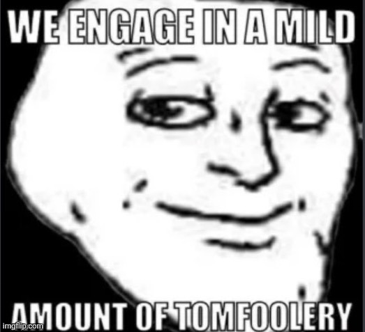 mild amount of tomfoolery | image tagged in mild amount of tomfoolery | made w/ Imgflip meme maker