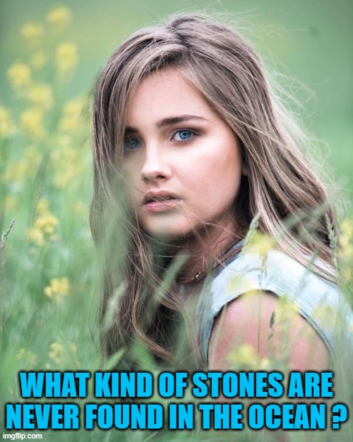 WHAT KIND OF STONES ARE NEVER FOUND IN THE OCEAN ? | image tagged in riddle | made w/ Imgflip meme maker