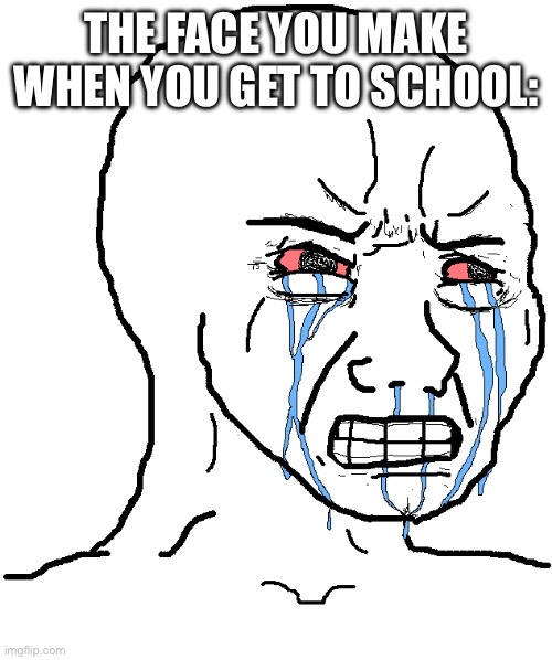 cry wojak | THE FACE YOU MAKE WHEN YOU GET TO SCHOOL: | image tagged in cry wojak,school | made w/ Imgflip meme maker