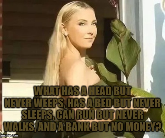 WHAT HAS A HEAD BUT NEVER WEEPS, HAS A BED BUT NEVER SLEEPS, CAN RUN BUT NEVER WALKS, AND A BANK BUT NO MONEY? | image tagged in riddle | made w/ Imgflip meme maker