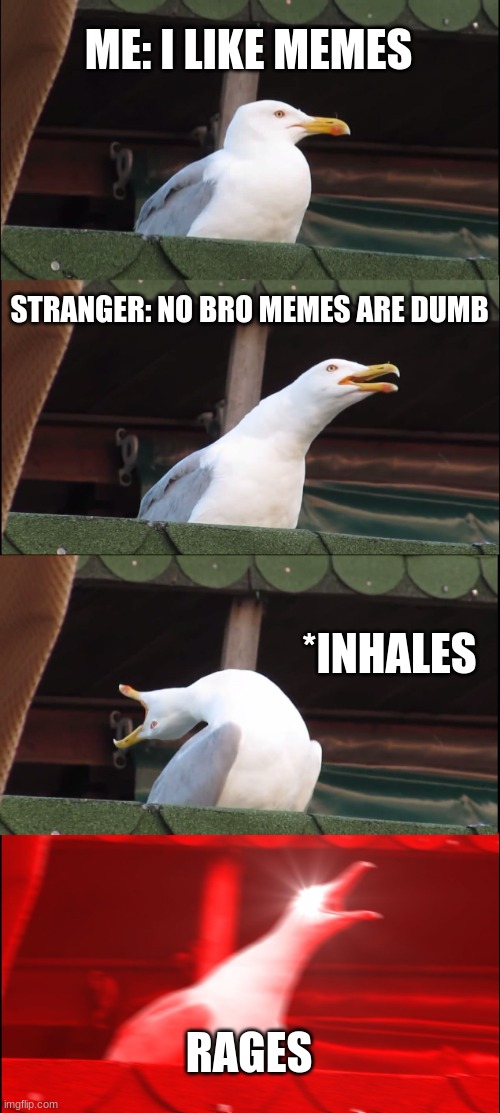 Inhaling Seagull | ME: I LIKE MEMES; STRANGER: NO BRO MEMES ARE DUMB; *INHALES; RAGES | image tagged in memes,inhaling seagull | made w/ Imgflip meme maker