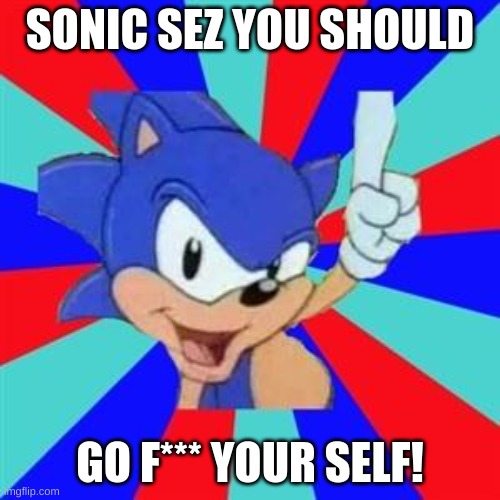 e | SONIC SEZ YOU SHOULD; GO F*** YOUR SELF! | image tagged in sonic sez | made w/ Imgflip meme maker