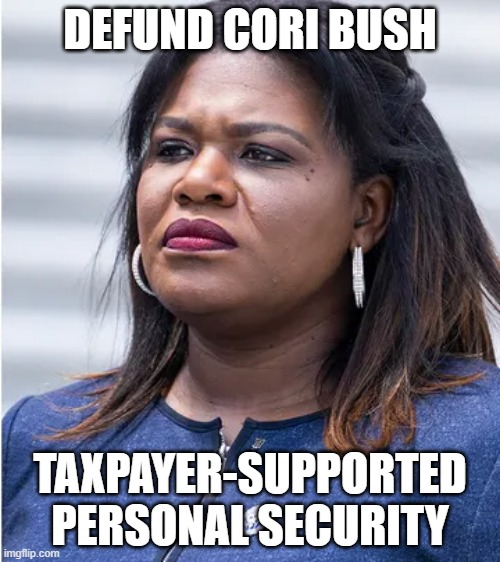 DEFUND CORI BUSH; TAXPAYER-SUPPORTED PERSONAL SECURITY | made w/ Imgflip meme maker