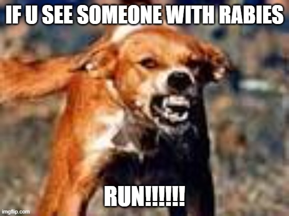 123414 | IF U SEE SOMEONE WITH RABIES; RUN!!!!!! | image tagged in rabid dog,3251 upvotes | made w/ Imgflip meme maker