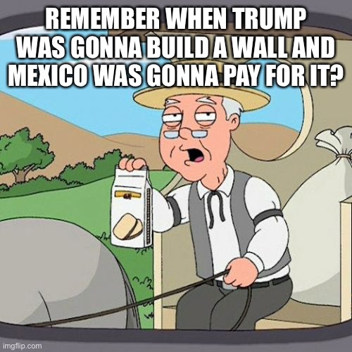 Pepperidge Farm Remembers Meme | REMEMBER WHEN TRUMP WAS GONNA BUILD A WALL AND MEXICO WAS GONNA PAY FOR IT? | image tagged in memes,pepperidge farm remembers | made w/ Imgflip meme maker