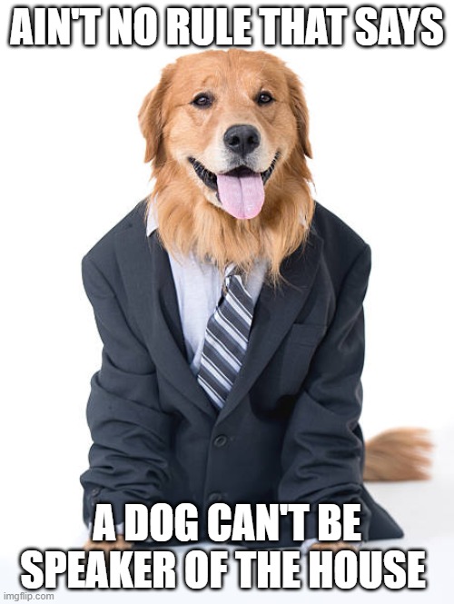 would vote for | AIN'T NO RULE THAT SAYS; A DOG CAN'T BE SPEAKER OF THE HOUSE | image tagged in politics | made w/ Imgflip meme maker