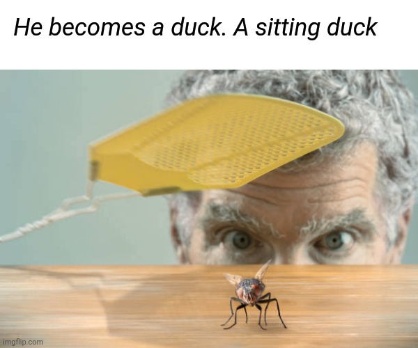 He becomes a duck. A sitting duck | made w/ Imgflip meme maker
