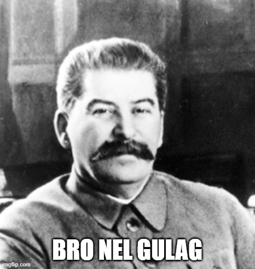 Stalin | BRO NEL GULAG | image tagged in stalin | made w/ Imgflip meme maker