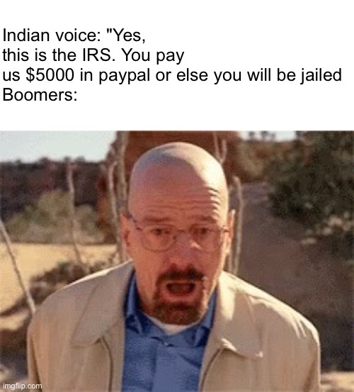 Scammers and boomers | Indian voice: "Yes, this is the IRS. You pay us $5000 in paypal or else you will be jailed
Boomers: | image tagged in walter white | made w/ Imgflip meme maker