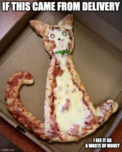 Cat Pizza | IF THIS CAME FROM DELIVERY; I SEE IT AS A WASTE OF MONEY | image tagged in pizza,memes,food | made w/ Imgflip meme maker