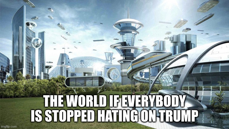 Could somebody tell me in the comments why you even hate that guy anyway | THE WORLD IF EVERYBODY IS STOPPED HATING ON TRUMP | image tagged in the future world if | made w/ Imgflip meme maker