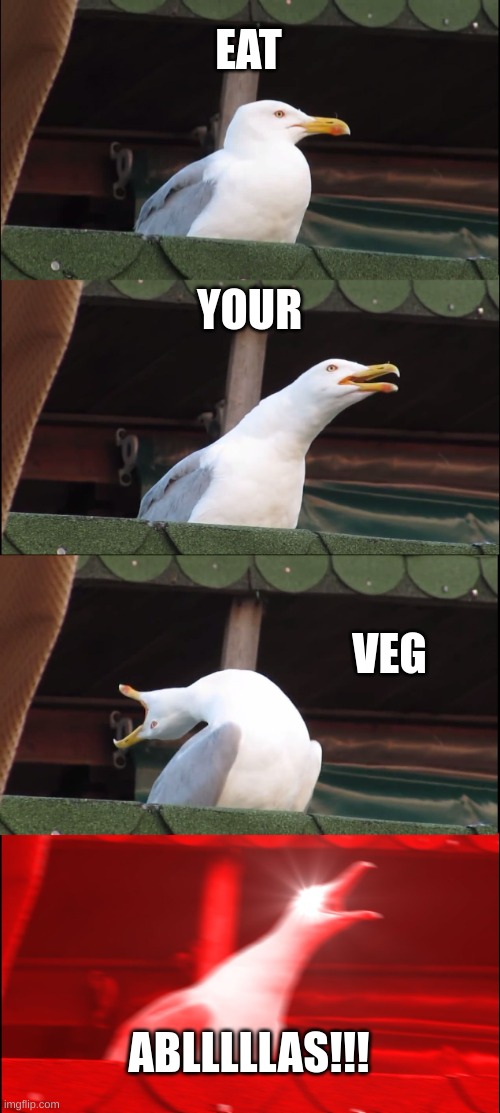 techers at school belike. | EAT; YOUR; VEG; ABLLLLLAS!!! | image tagged in memes,inhaling seagull | made w/ Imgflip meme maker