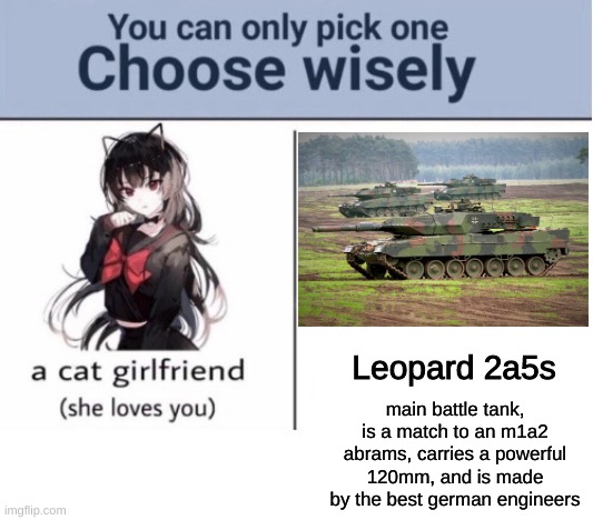 Dont be simps |  Leopard 2a5s; main battle tank, is a match to an m1a2 abrams, carries a powerful 120mm, and is made by the best german engineers | image tagged in choose wisely,tank | made w/ Imgflip meme maker