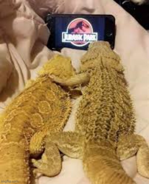 Brothers watching movie of their grandparents | made w/ Imgflip meme maker