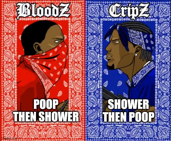 which side are you on |  SHOWER THEN POOP; POOP THEN SHOWER | image tagged in which side are you on,pooping,shower thoughts | made w/ Imgflip meme maker