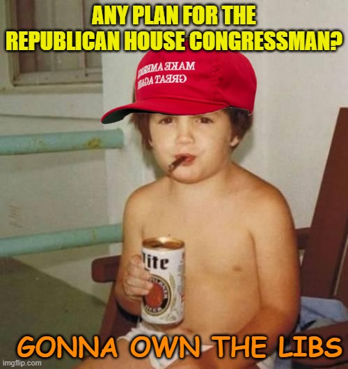 No plans, no governing, no maturity, and get paid by the taxpayer for it | ANY PLAN FOR THE REPUBLICAN HOUSE CONGRESSMAN? GONNA OWN THE LIBS | image tagged in republicans,maga,political memes,funny memes,beer | made w/ Imgflip meme maker