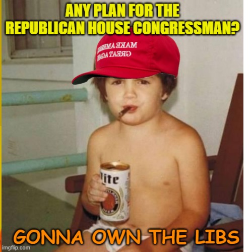 No plan, no maturity, no governing. and expect to be paid by the taxpayer | image tagged in maga,house,political memes,funny memes,conservatives | made w/ Imgflip meme maker
