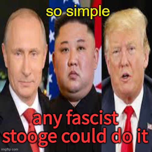 so simple any fascist stooge could do it | made w/ Imgflip meme maker