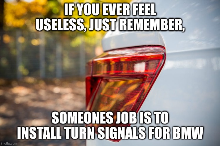 IF YOU EVER FEEL USELESS, JUST REMEMBER, SOMEONES JOB IS TO INSTALL TURN SIGNALS FOR BMW | made w/ Imgflip meme maker