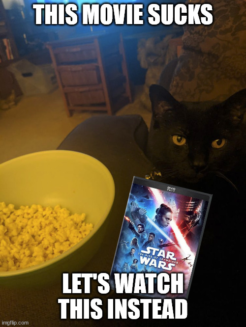 Would you watch it? | THIS MOVIE SUCKS; LET'S WATCH THIS INSTEAD | image tagged in this movie sucks let's watch,star wars,the rise of skywalker,bad movies,cat | made w/ Imgflip meme maker
