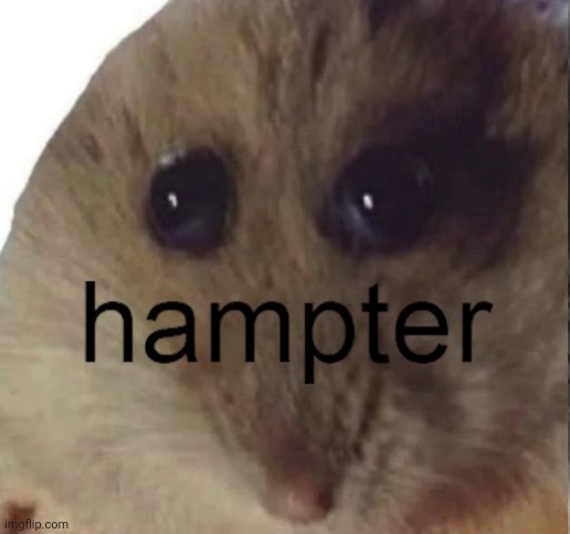 Hampter | image tagged in hampter | made w/ Imgflip meme maker