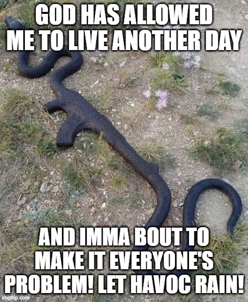Snek | GOD HAS ALLOWED ME TO LIVE ANOTHER DAY; AND IMMA BOUT TO MAKE IT EVERYONE'S PROBLEM! LET HAVOC RAIN! | image tagged in snek,chaos | made w/ Imgflip meme maker