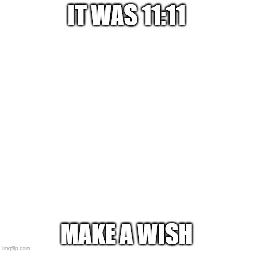 Blank Transparent Square Meme | IT WAS 11:11; MAKE A WISH | image tagged in memes,blank transparent square | made w/ Imgflip meme maker