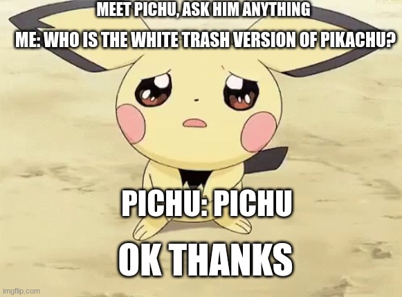 White trash version of pikachu | MEET PICHU, ASK HIM ANYTHING; ME: WHO IS THE WHITE TRASH VERSION OF PIKACHU? PICHU: PICHU; OK THANKS | image tagged in white trash | made w/ Imgflip meme maker