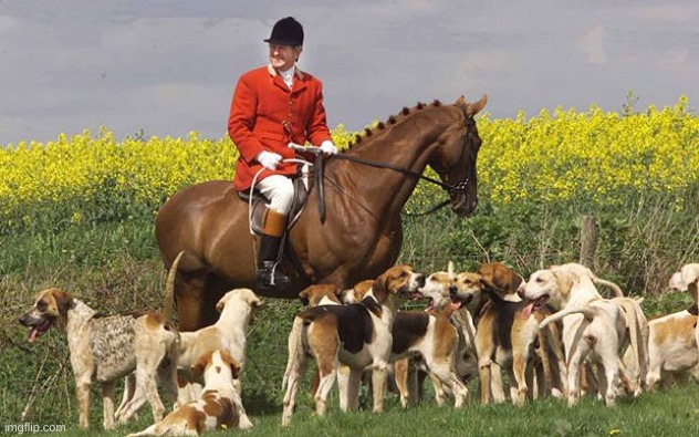 Fox Hunting | image tagged in fox hunting | made w/ Imgflip meme maker