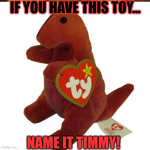 IF YOU HAVE THIS TOY... NAME IT TIMMY! | image tagged in change my mind | made w/ Imgflip meme maker