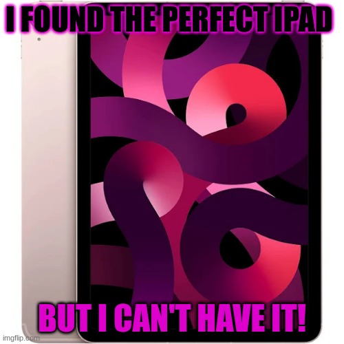 I FOUND THE PERFECT IPAD; BUT I CAN'T HAVE IT! | image tagged in funny memes | made w/ Imgflip meme maker