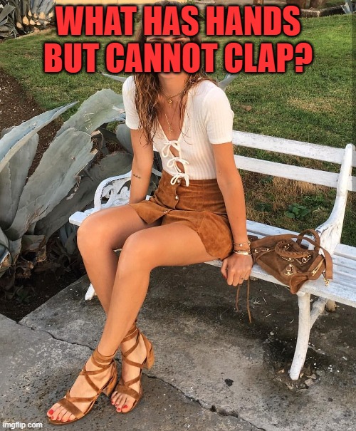 WHAT HAS HANDS BUT CANNOT CLAP? | image tagged in riddle | made w/ Imgflip meme maker