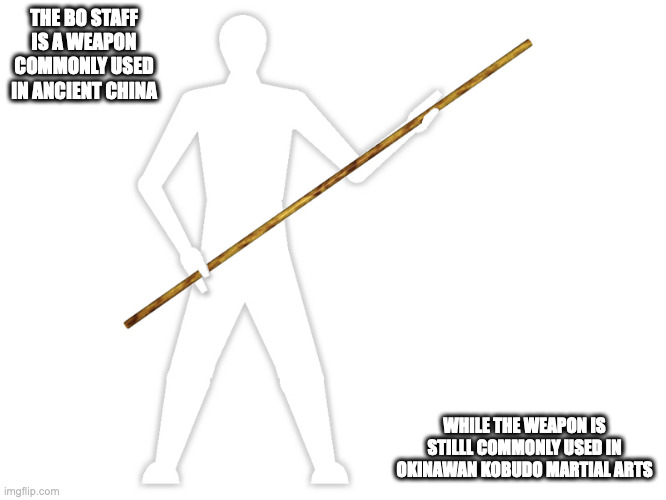 Bo Staff | THE BO STAFF IS A WEAPON COMMONLY USED IN ANCIENT CHINA; WHILE THE WEAPON IS STILLL COMMONLY USED IN OKINAWAN KOBUDO MARTIAL ARTS | image tagged in staff,weapons,memes | made w/ Imgflip meme maker