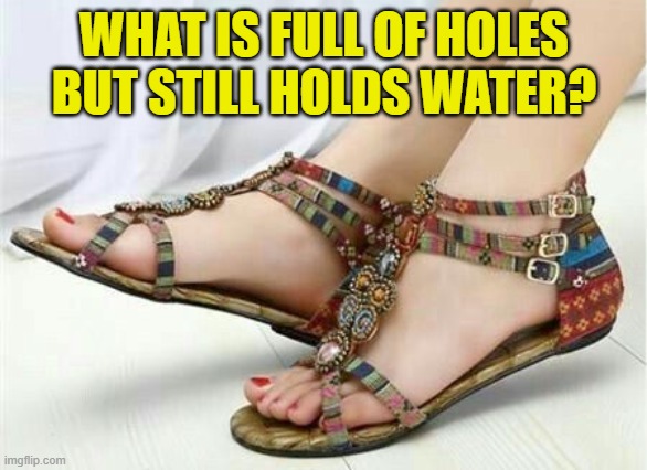 WHAT IS FULL OF HOLES BUT STILL HOLDS WATER? | image tagged in riddle | made w/ Imgflip meme maker