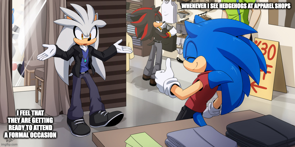 At the Shop | WHENEVER I SEE HEDGEHOGS AT APPAREL SHOPS; I FEEL THAT THEY ARE GETTING READY TO ATTEND A FORMAL OCCASION | image tagged in sonic the hedgehog,silver the hedgehog,shadow the hedgehog,memes | made w/ Imgflip meme maker