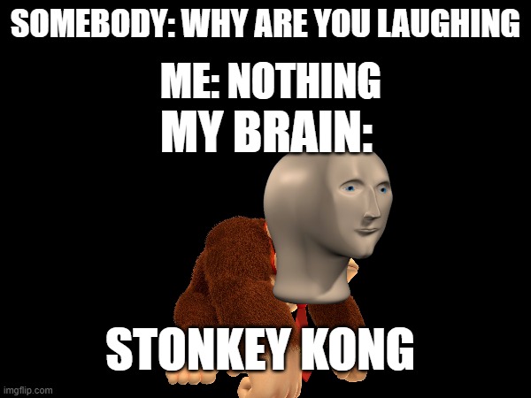 Stonkey Kong |  ME: NOTHING; SOMEBODY: WHY ARE YOU LAUGHING; MY BRAIN:; STONKEY KONG | image tagged in the most interesting man in the world,kristy's flyer in hd,jack sparrow being chased,laughing leo,scumbag brain,seagull | made w/ Imgflip meme maker