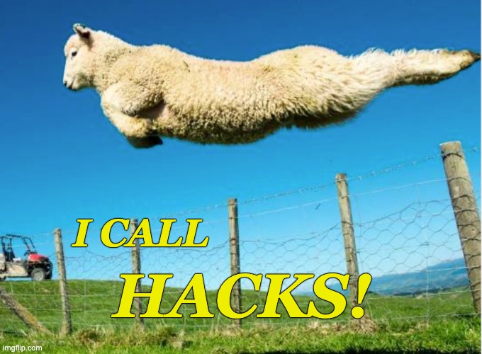 Fly hacks! | I CALL; HACKS! | image tagged in sheep,hack,flying,hacks | made w/ Imgflip meme maker