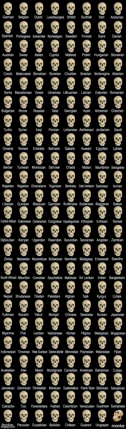 Deformed skull | monke | image tagged in deformed skull | made w/ Imgflip meme maker