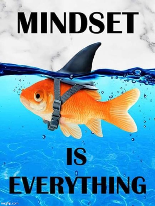 mindset | image tagged in mindset is everything | made w/ Imgflip meme maker