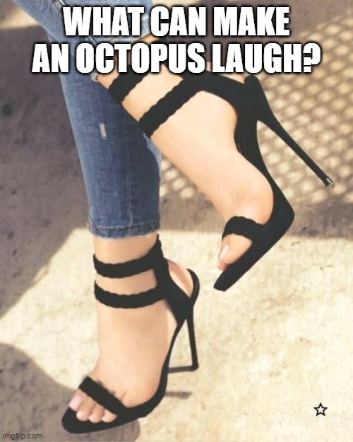 WHAT CAN MAKE AN OCTOPUS LAUGH? | image tagged in riddle | made w/ Imgflip meme maker