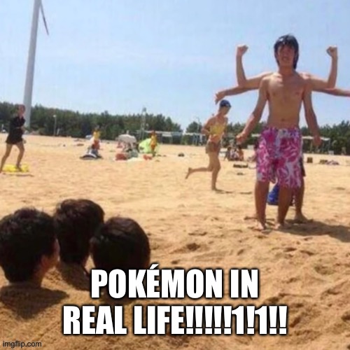 Not my image, but thought this belonged here | POKÉMON IN REAL LIFE!!!!!1!1!! | image tagged in pokemon,stop reading the tags | made w/ Imgflip meme maker