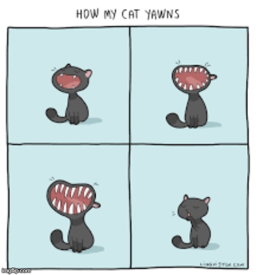 A Cat's Way Of Thinking | image tagged in memes,comics,how,my,cats,yawn | made w/ Imgflip meme maker