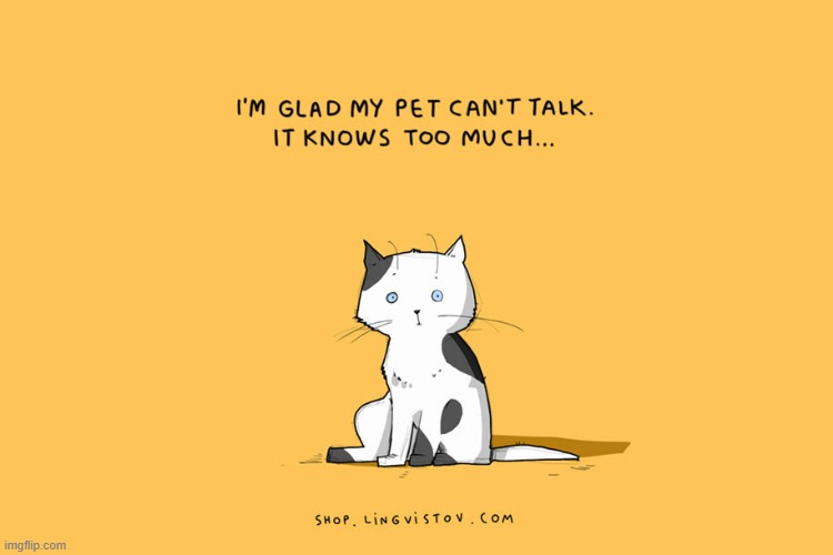 A Cat Lady's Way Of Thinking | image tagged in memes,comics,cat lady,cats,can't,talk | made w/ Imgflip meme maker