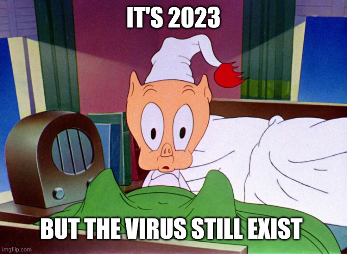 Kowalski analysis | IT'S 2023; BUT THE VIRUS STILL EXIST | image tagged in porky pig shock,coronavirus,covid-19,looney tunes,warner bros,porky pig | made w/ Imgflip meme maker